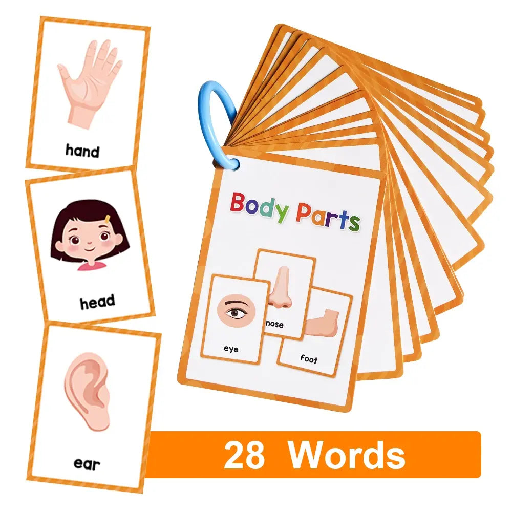 English Words Learning Flashcards